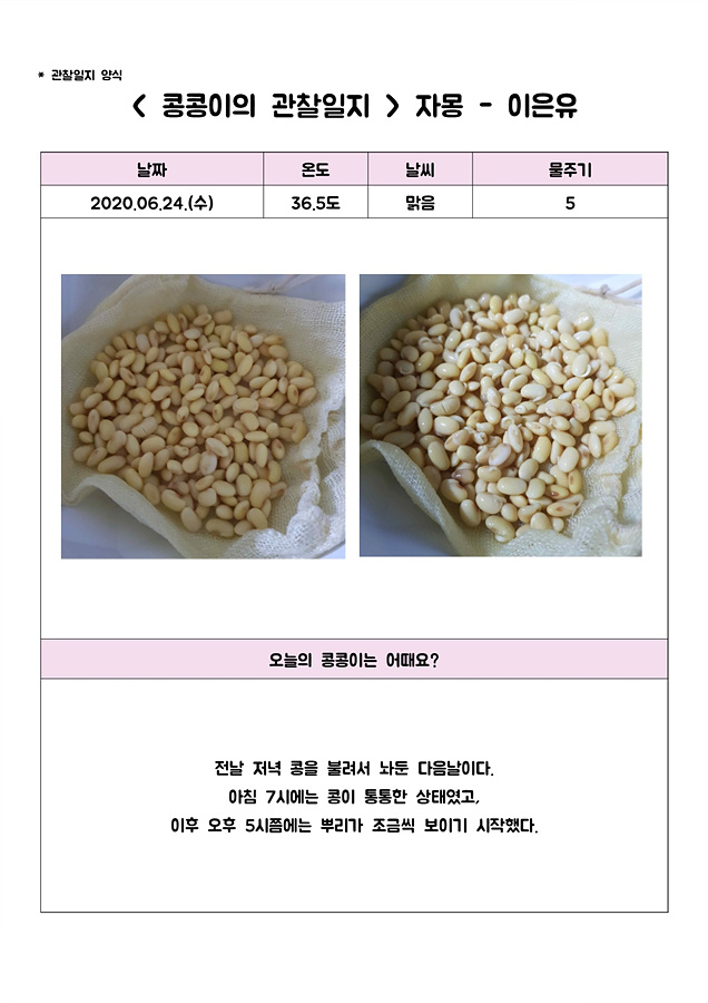 [비대면 활동 프로그램] 그린 메이트(Green Mate)